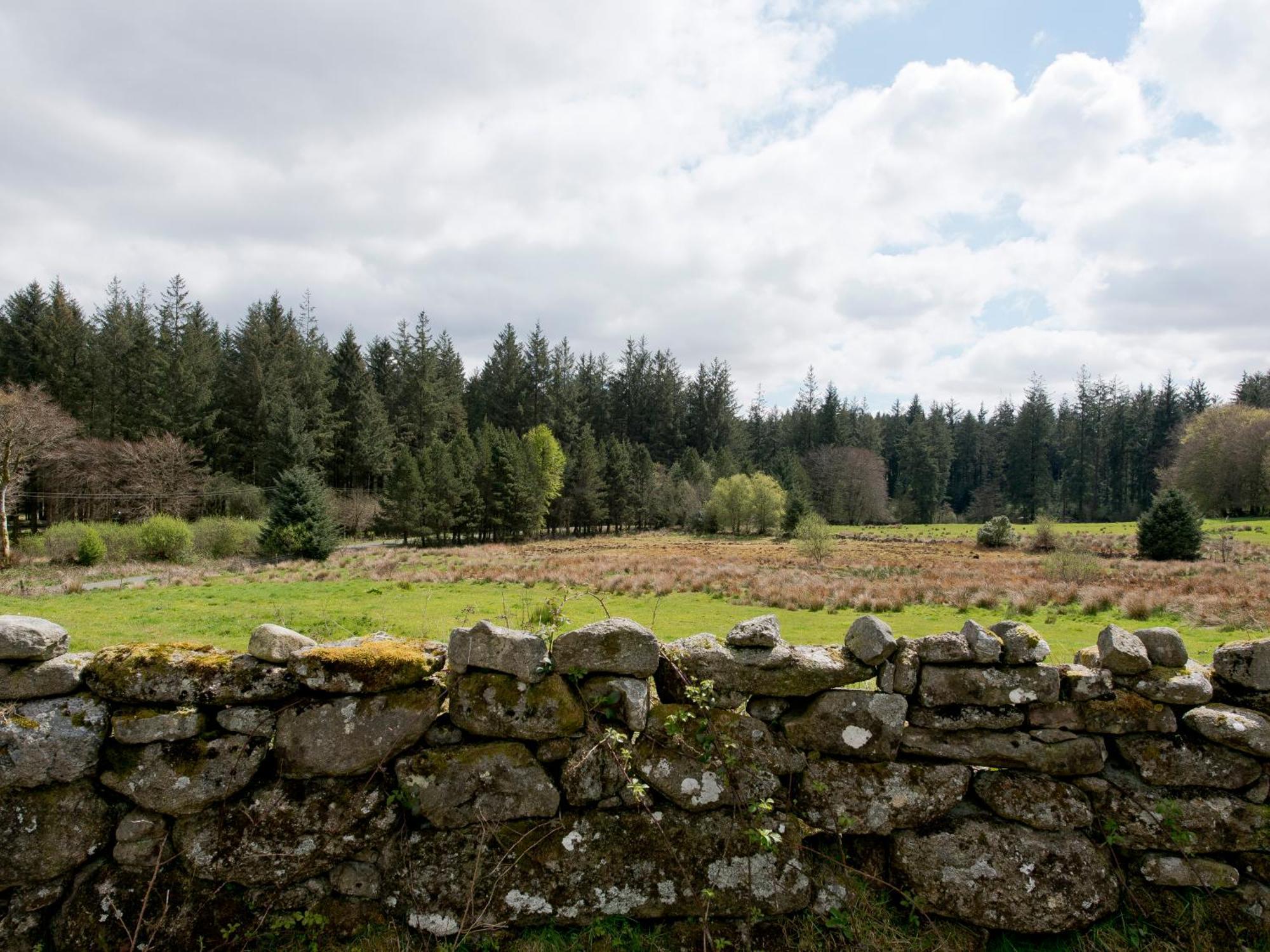Yha Dartmoor Vandrehjem Postbridge Eksteriør billede